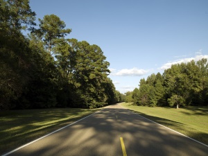 Natchez Trace Parkway | Tupelo  MS